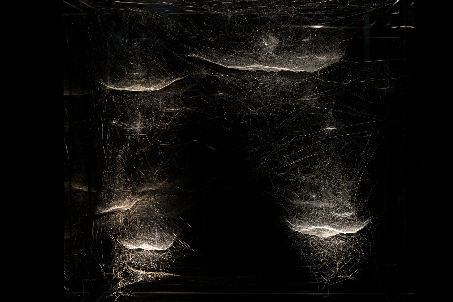 ts_s22063_18aus_hobart_mona_solo_53725_stack_53543348746_o